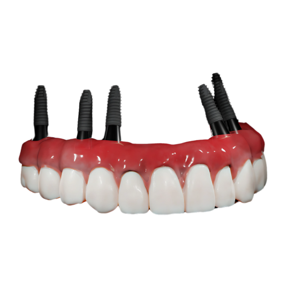 Teeth Structure